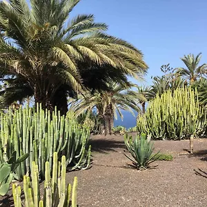 Résidence Pierre&vacances Marazul Del Sur 3*, Callao Salvaje España